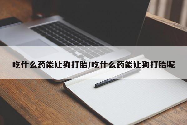 卖打胎药的联系方式或微信吃什么药能让狗打胎/吃什么药能让狗打胎呢