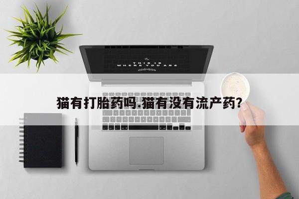 卖打胎药的联系方式或微信猫有打胎药吗.猫有没有流产药？
