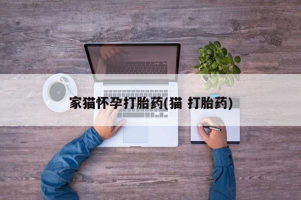 卖打胎药的联系方式或微信家猫怀孕打胎药(猫 打胎药)