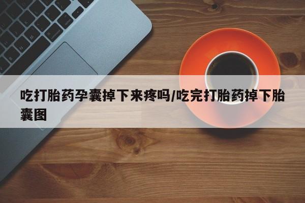 卖打胎药的联系方式或微信吃打胎药孕囊掉下来疼吗/吃完打胎药掉下胎囊图